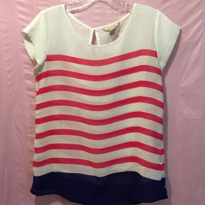 Banana Republic Pink, White, Navy Sheer Blouse